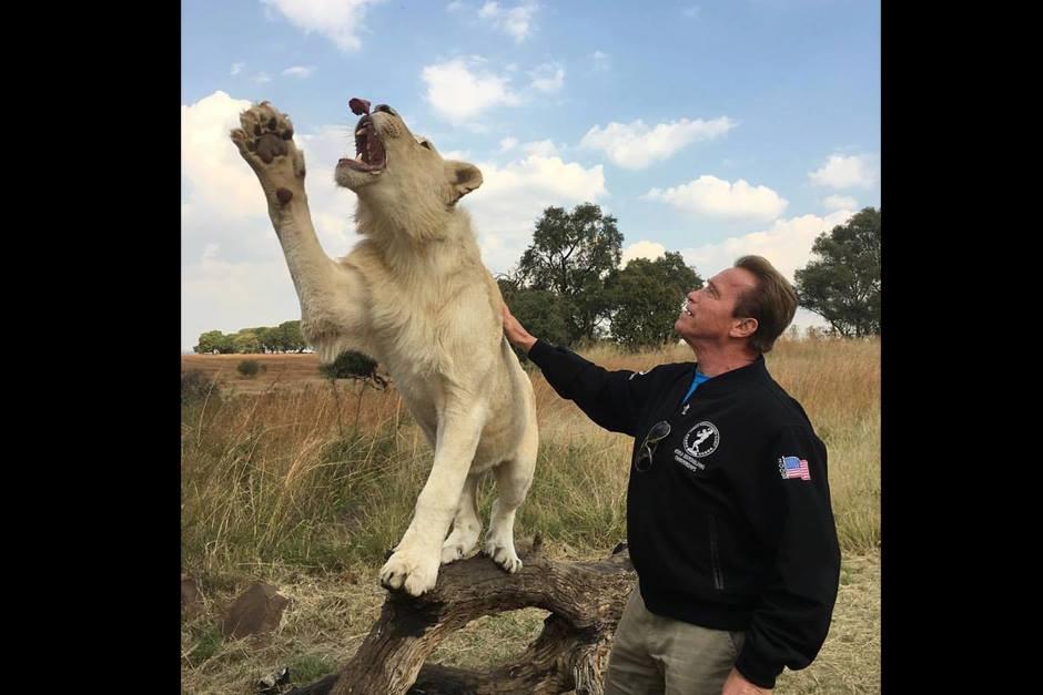 El actor ha conocido varios sitios turísticos en el país africano. (Foto: Facebook Arnold Schwarzenegger)