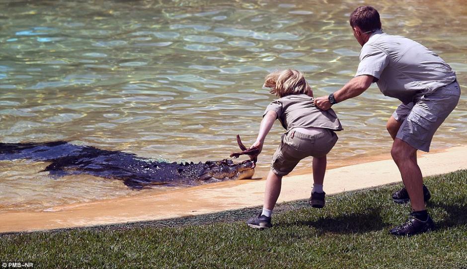 Robert Irwin regres&oacute; al zool&oacute;gico de Australia donde su pap&aacute; lo llev&oacute; en brazos cuando alimentaba cocodrilos.&nbsp;