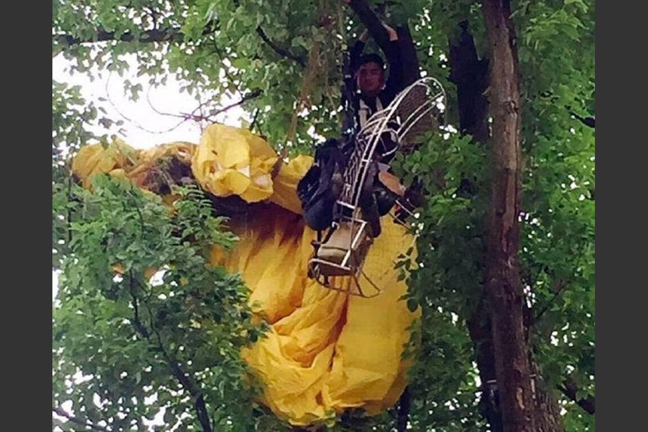 Un hombre en China se qued&oacute; trabado en un &aacute;rbol al intentar pedir matrimonio a su novia. (Foto: excelsior.com.mx)