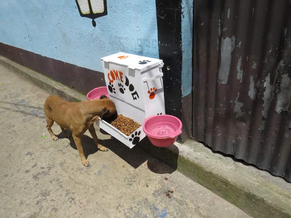El ComeDog es el espacio donde los perros sin due&ntilde;o de Santo Tom&aacute;s Milpas Altas pueden alimentarse sanamente. (Foto: Noticiero El Gr&aacute;fico de Sacatep&eacute;quez)