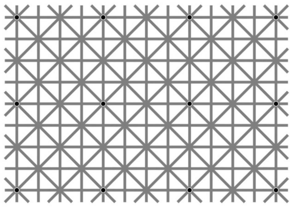 La "ilusi&oacute;n de extinci&oacute;n" de Ninio y Stevens se viraliza en las redes sociales. (Foto: verne)