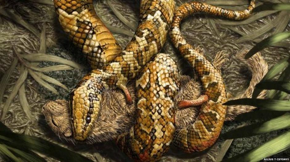 La serpiente puede ser la conexión entre las de su especie prehistóricas y las que actualmente viven en el planeta.&nbsp;