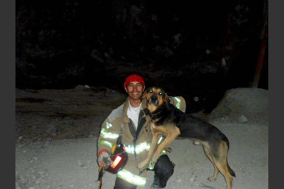 El bombero Anmer Escobar confirm&oacute; que el perro rescatista, Spaicy, fue envenado en R&iacute;o Blanco, San Marcos. (Foto: Anmer Escobar)