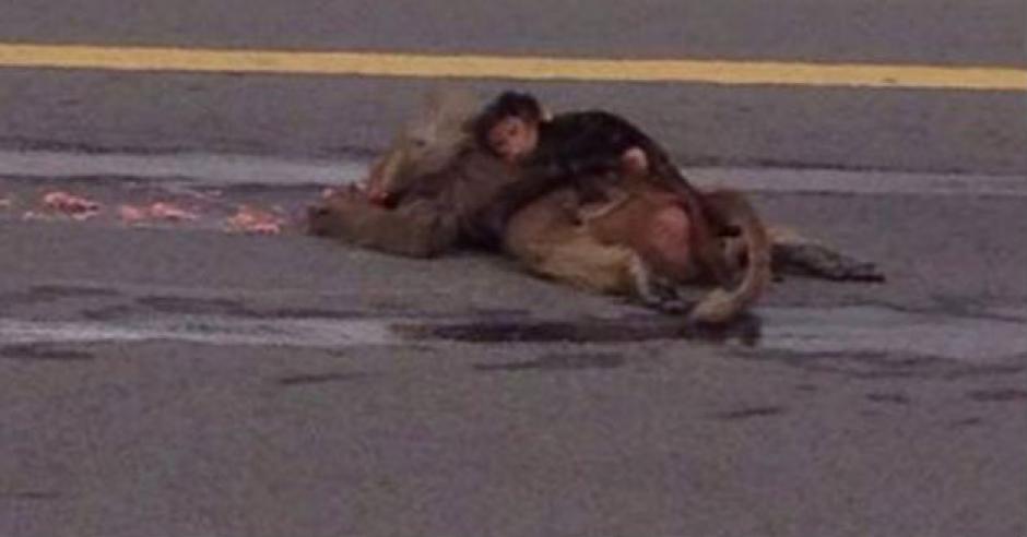 Beb&eacute; mono se aferra a su madre muestra, tras ser atropellada. (Foto: Twitter)