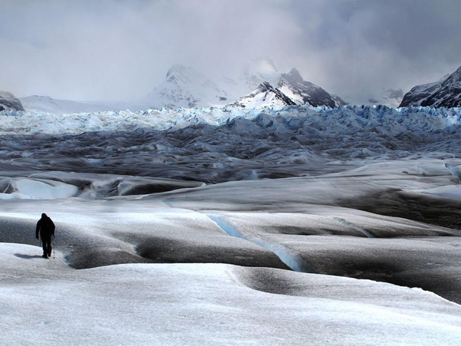 Una caminata por la nieve demuestra la grandeza de la naturaleza aún en temperaturas muy frías. Esta es la foto ganadora de Julio Lucas.