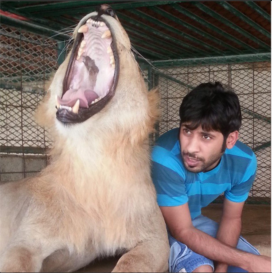 Humaid Albuqiash es el nombre del joven millonario que es fan&aacute;tico de los leones.
