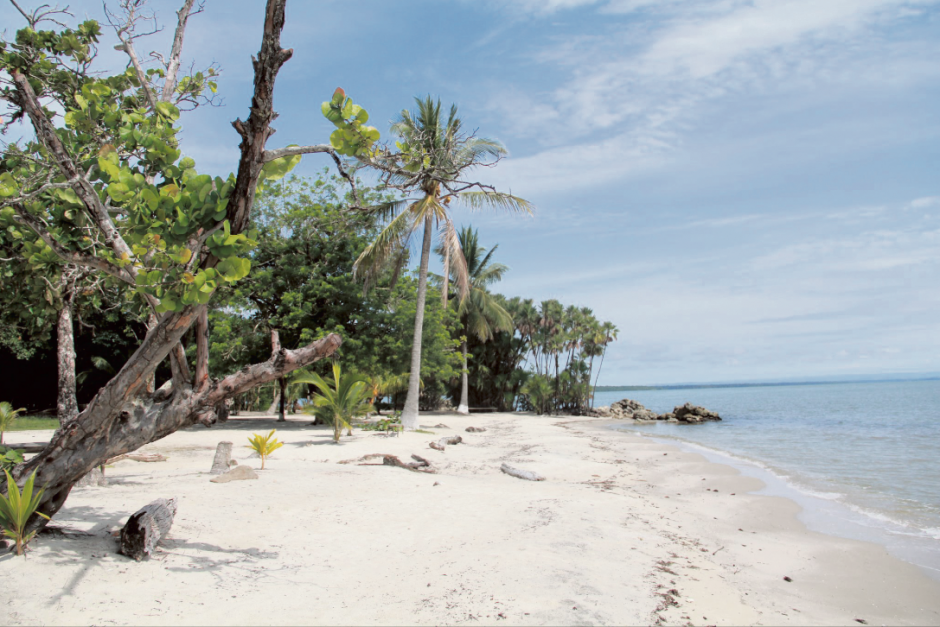 Playa Blanca, en Livingston, es un paraíso alejado del mundo, en donde te relajarás. (Foto: Archivo/Soy502)