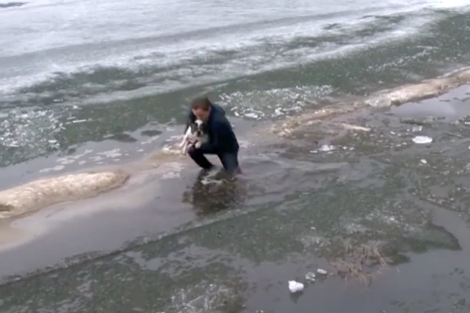La arriesgada maniobra fue captada en Alberta, Canad&aacute;. (Foto: Captura de video)