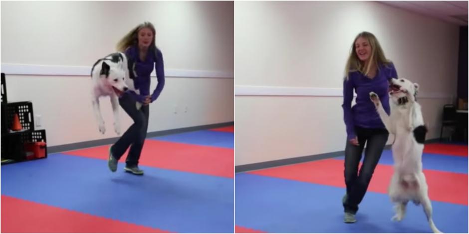 Este perro disfruta bailar junto a su due&ntilde;a. (Foto: Infobae)&nbsp;