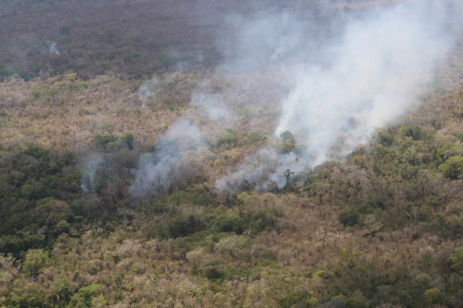 Por el momento hay siete incendios activos en la selva de Pet&eacute;n. (Foto: Conap)