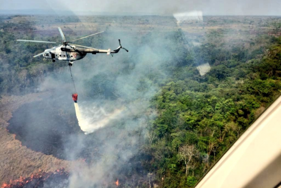 Además del daño a los bosques, los animales se han visto afectados con los incendios en Petén. (Foto: Ejército de Guatemala)