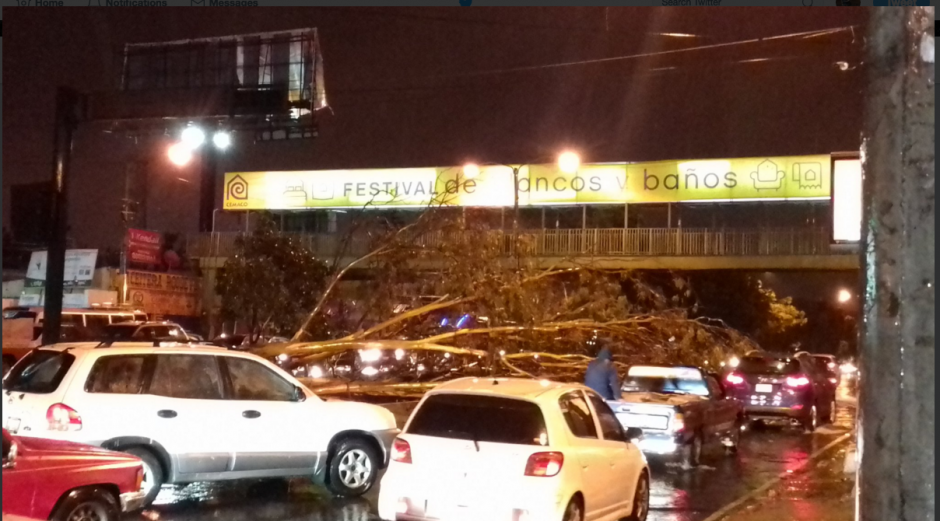 Varios &aacute;rboles se desplomaron en las zonas 7, 11, 12 y 21. (Foto: Twitter/Am&iacute;lcar Montejo) 