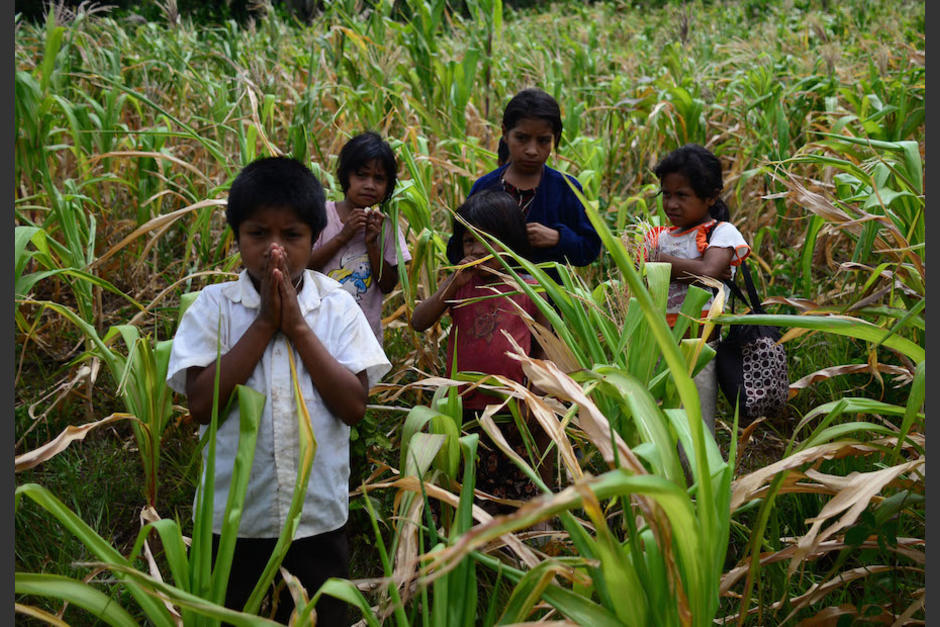 Guatemala fue el único país de América Latina que no registró avances en la lucha contra el hambre. (Foto: Wilder López/Soy502)
