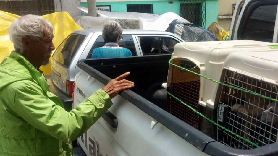 Buscan ayuda para adulto mayor que fue desalojado de su vivienda junto a sus cinco perros. (Foto: Facebook/Albergue Municipal de Mascotas)