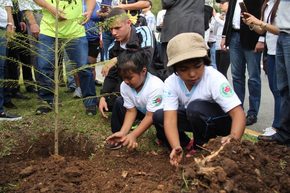 Varios ni&ntilde;os y j&oacute;venes reforestaron el &aacute;rea. (Foto: Jes&uacute;s Alfonso/Soy502) 