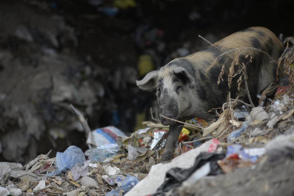 Una iniciativa de ley motivó la controversia sobre el "copy paste". Esta imagen muestra la contaminación del río Motagua (Foto: Wilder López/Archivo Soy502)