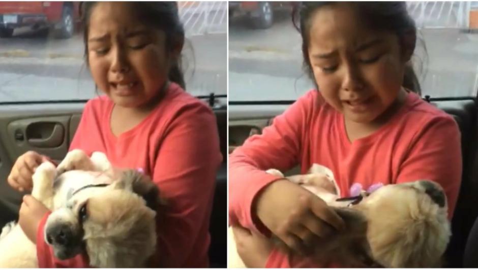 Una ni&ntilde;a fue en grabada en video mientras lloraba por el corte de pelo que le hicieron a su perro. (Foto: www.elsalvador.com)