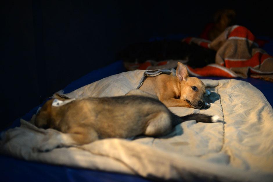 El acuerdo ministerial entra en vigencia este s&aacute;bado luego de ser publicado este d&iacute;a. (Foto: archivo/Soy502)