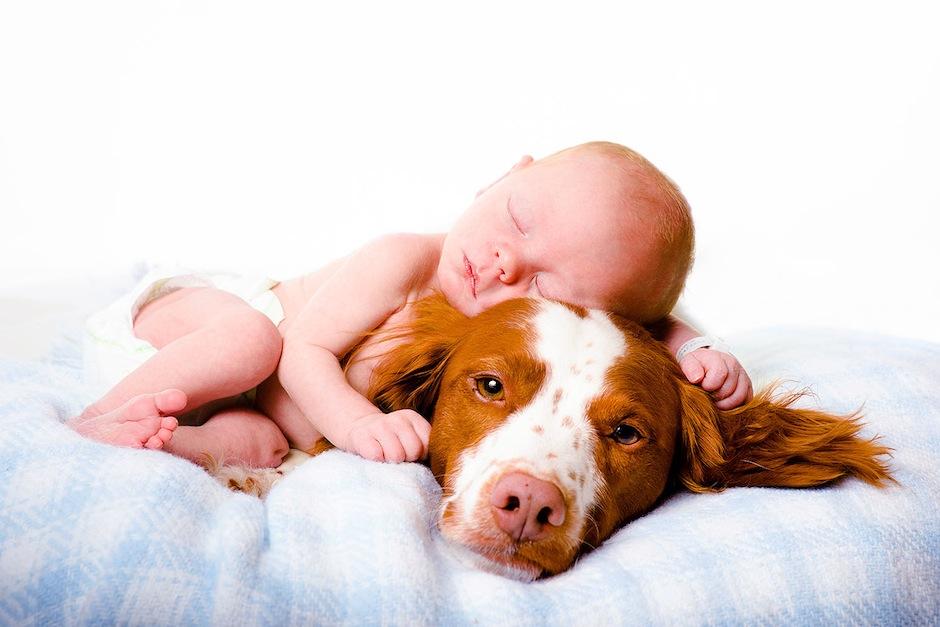 Especialistas explican si es positivo o no tener una mascota en casa junto a beb&eacute;s reci&eacute;n nacidos. (Foto: Federer Photography)&nbsp;