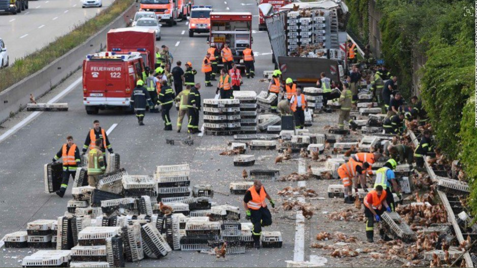 Decenas de gallinas se salieron de las jaulas luego de que el cami&oacute;n en el que eran transportadas se accidentara. (Foto: CNN)&nbsp;