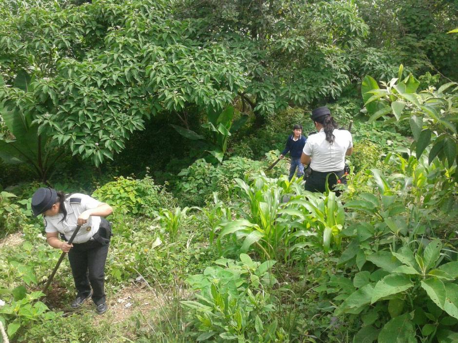 Agentes de la Polic&iacute;a Nacional Civil (PNC) se unieron a estudiantes y maestros para sembrar m&aacute;s de 20 mil &aacute;rboles. (Foto: PNC)