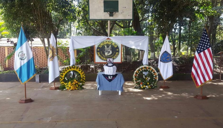 Le dan el &uacute;ltimo adi&oacute;s al agente canino "Back" que muri&oacute; el viernes reci&eacute;n pasado. (Foto: PNC)