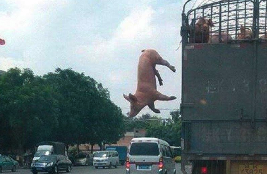 Javier Duarte sigue siendo tendencia en Twitter. (Foto: guruchuirer.com)