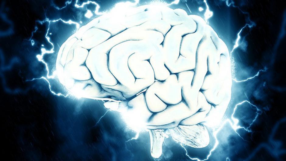 Un nuevo estudio explica que la eficacia del cerebro depende tanto de la eliminaci&oacute;n de lazos neuronales como de la creaci&oacute;n de nuevos. (Foto: RT)&nbsp;