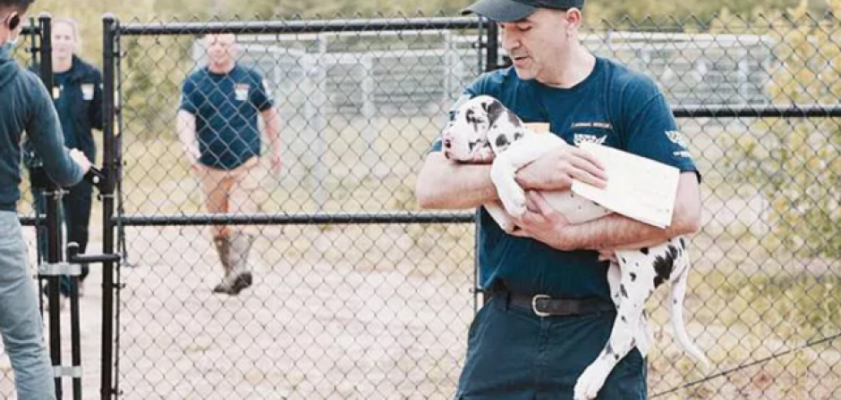 Los perros viv&iacute;an hacinados entre heces y orina. (Foto: Infobae)