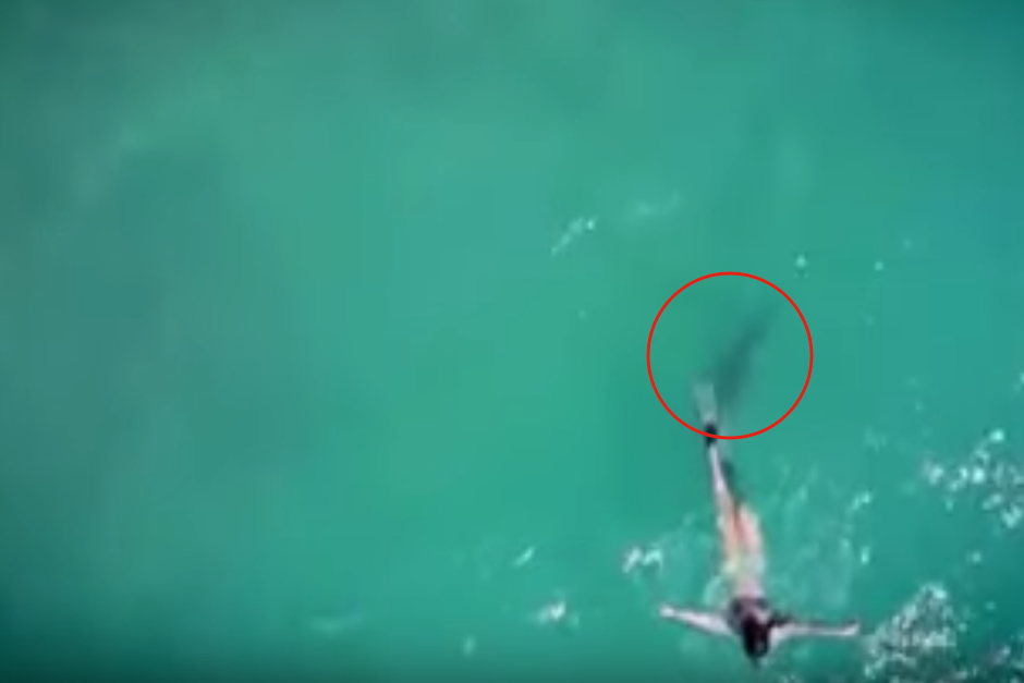 Momento en que el tibur&oacute;n se acerca a la mujer mientras es grabada con un dron. (Imagen: captura de pantalla)