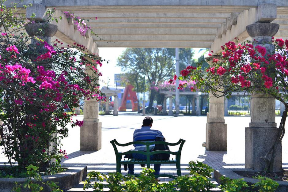 En marzo y abril estallan las flores en Guatemala. (Foto: Wilder López/soy502)