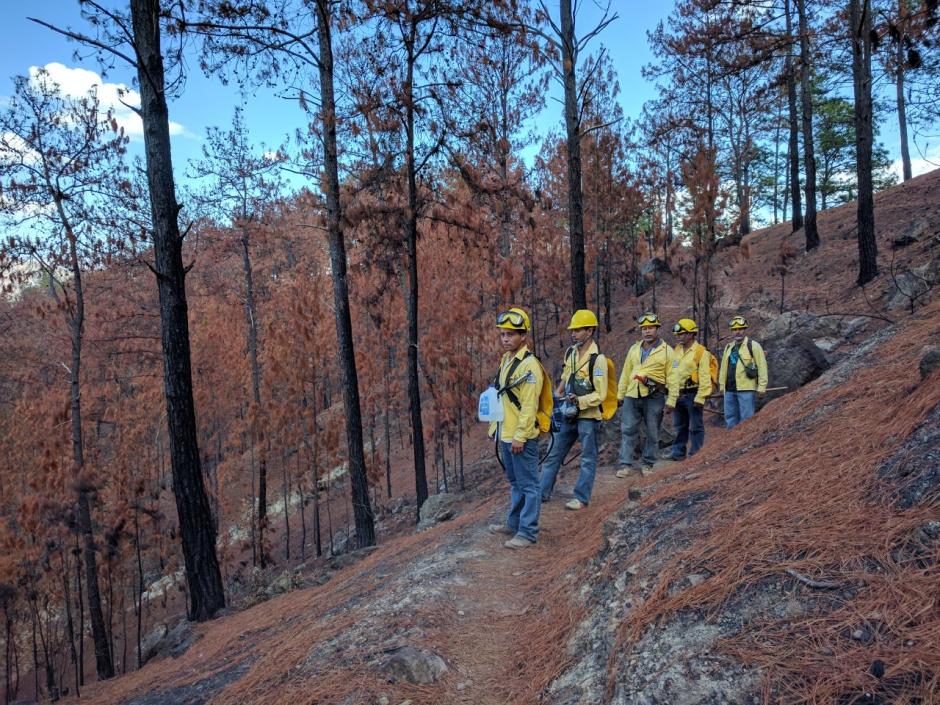 El Sipecif cuenta con 22 cuadrillas de bomberos forestales. (Foto: Cortes&iacute;a C&eacute;sar Hern&aacute;ndez)