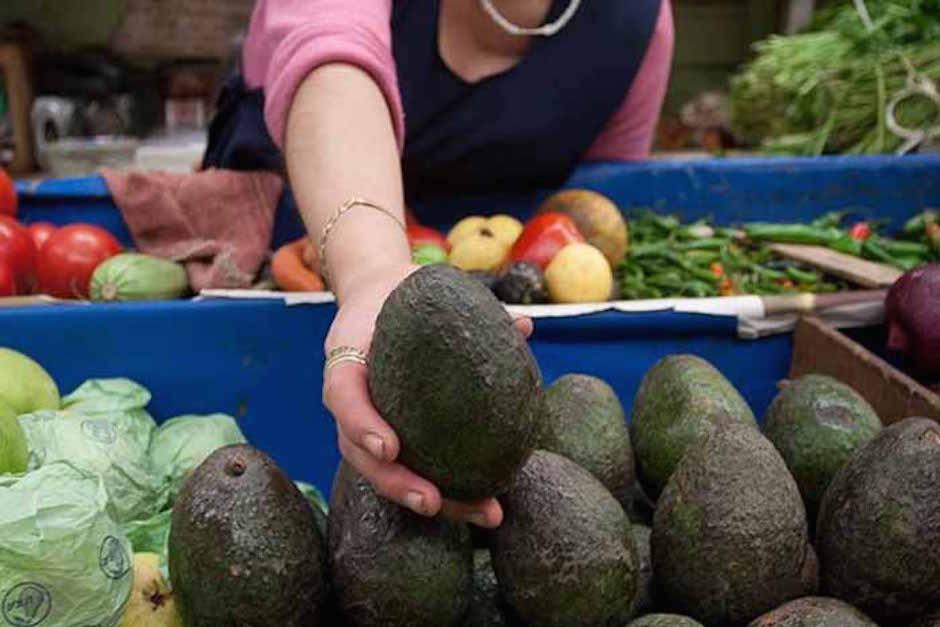 Comprar aguacate volver&aacute; a convertirse en un "lujo" (Foto: formato7.com)