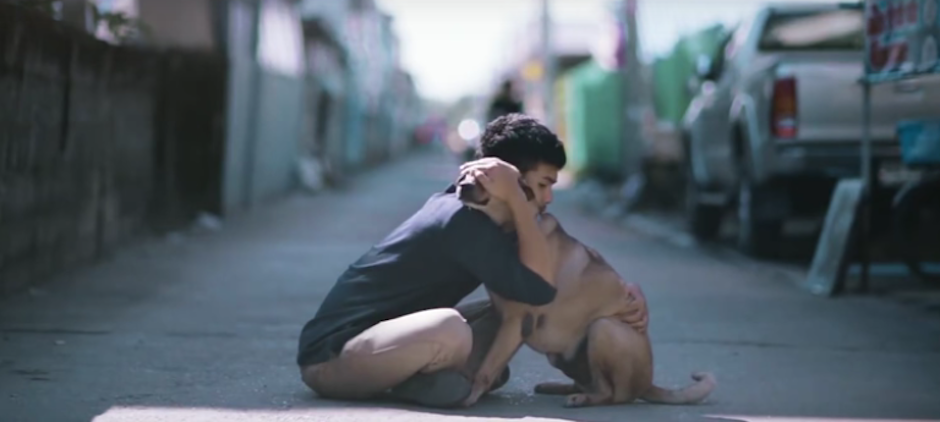 Disfruta la tierna campa&ntilde;a para rescatar perros callejeros. (Foto: captura de pantalla)