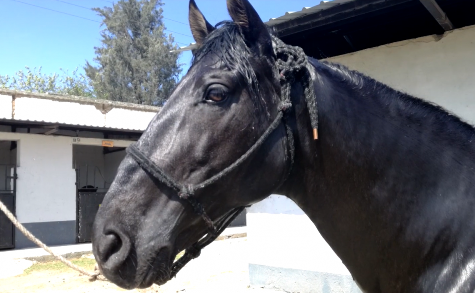 La subasta se declar&oacute; sin ning&uacute;n participante. (Foto: Senabed)