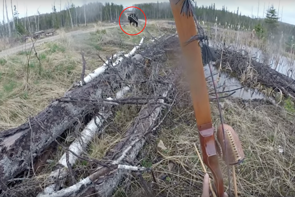 Mientras el cazador esperaba al oso con su arco y con la fecha lista, el animal se acerc&oacute; r&aacute;pidamente embistiendo al hombre. (Imagen: captura de pantalla)&nbsp;
