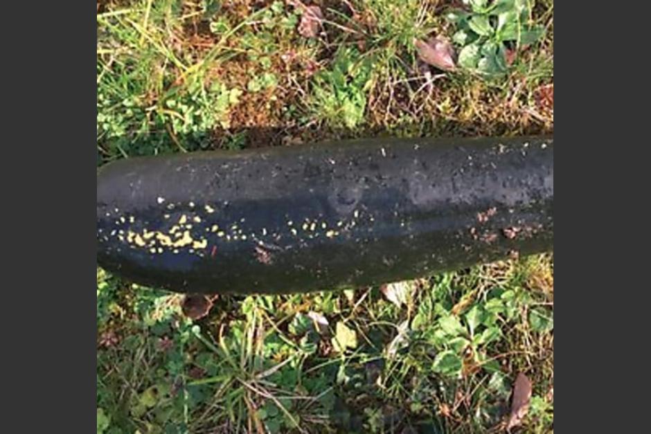 El objeto cil&iacute;ndrico descubierto por el anciano mide cerca de 40 cent&iacute;metros y pesa unas 11 libras. (Foto: Polic&iacute;a de Karlsruhe)