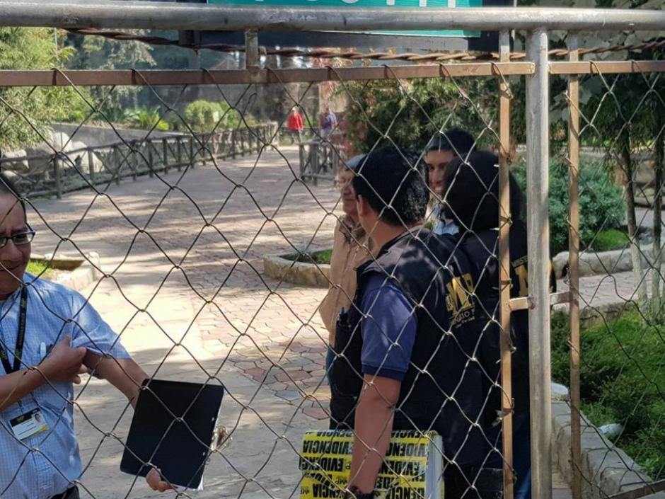 Los delincuentes robaron tres especies de animales y algunas herramientas. (Foto: Primera L&iacute;nea/Facebook)