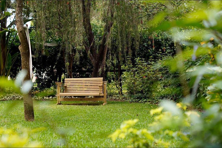 Estos viveros te har&aacute;n amar a&uacute;n m&aacute;s la naturaleza. (Foto: Vivero y Caf&eacute;  La Escalonia)