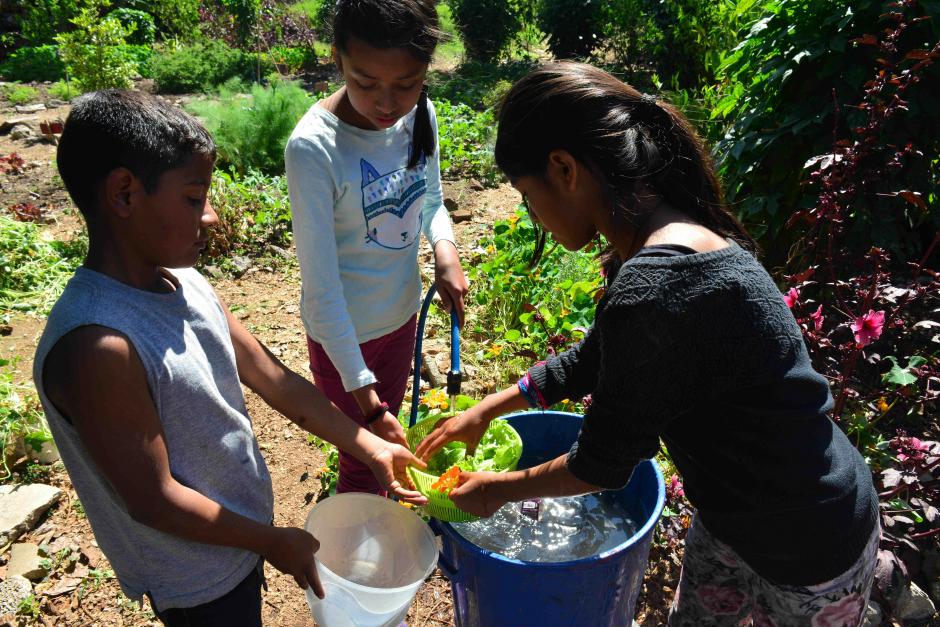 Conoce el Huerto La Esperanza o Garden of Hope. (Foto: Jes&uacute;s Alfonso/Soy502)