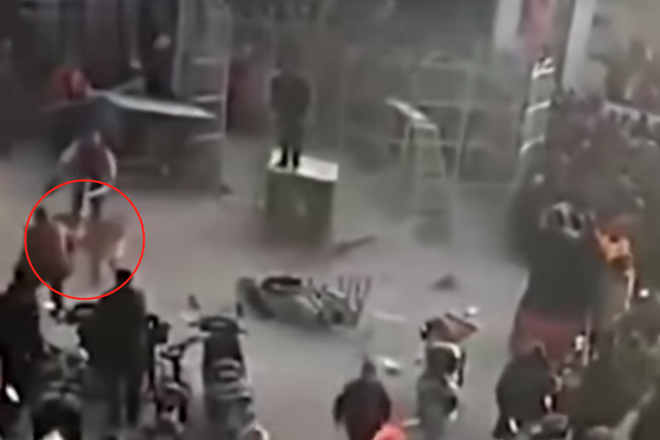 El ataque del animal dej&oacute; a un ni&ntilde;o y a un adulto heridos. (Imagen: captura de pantalla)