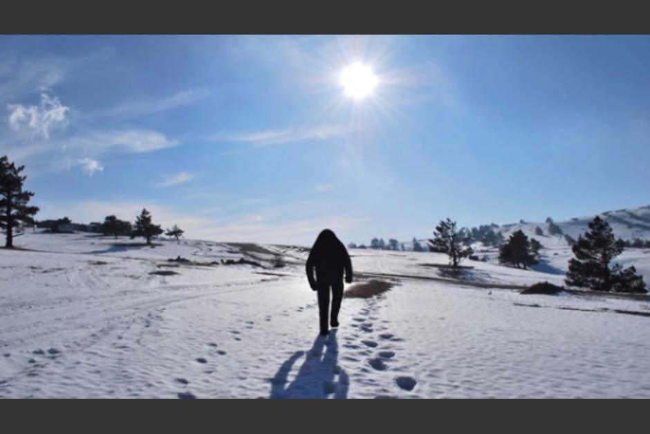 Estudio revela la verdad detr&aacute;s del mito del abominable "Hombre de las nieves". (Foto: www.infobae.com)