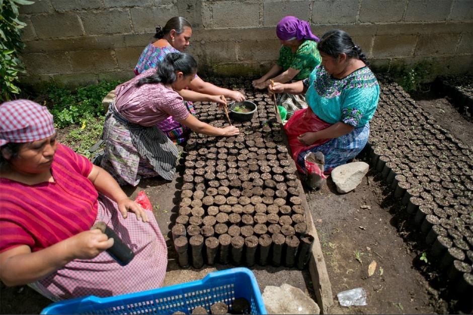 Las mujeres son las que menos oportunidades de trabajo tienen, seg&uacute;n la Encuesta de Empleo del INE. (Foto: archivo/Soy502)
