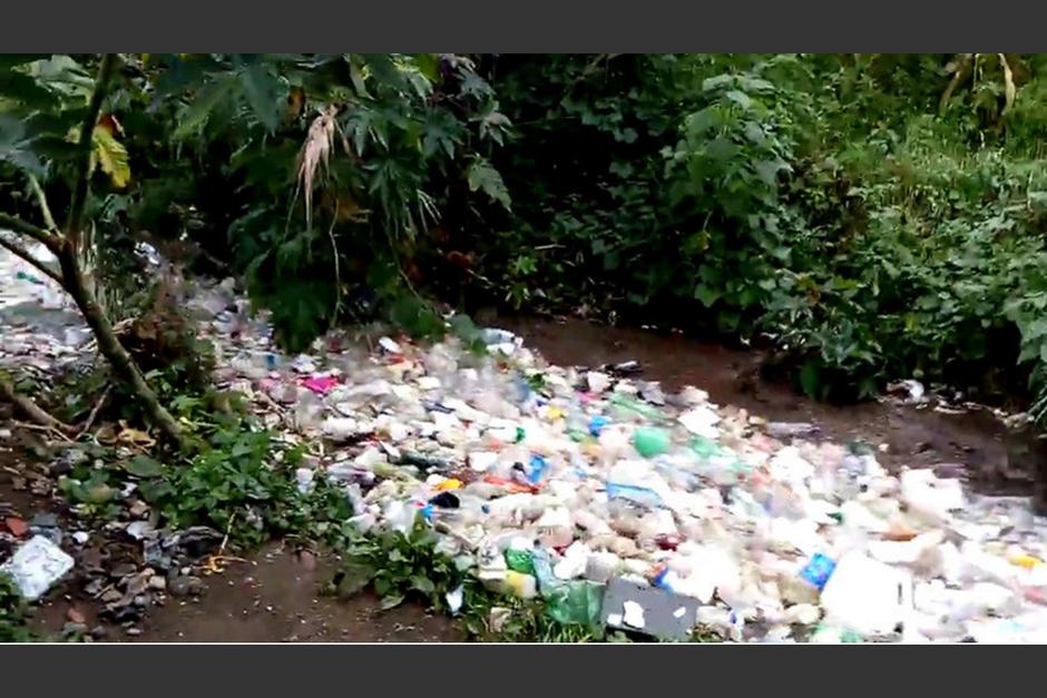 Un video captado en septiembre pasado se hizo viral en Internet. (Foto: Captura YouTube)&nbsp;
