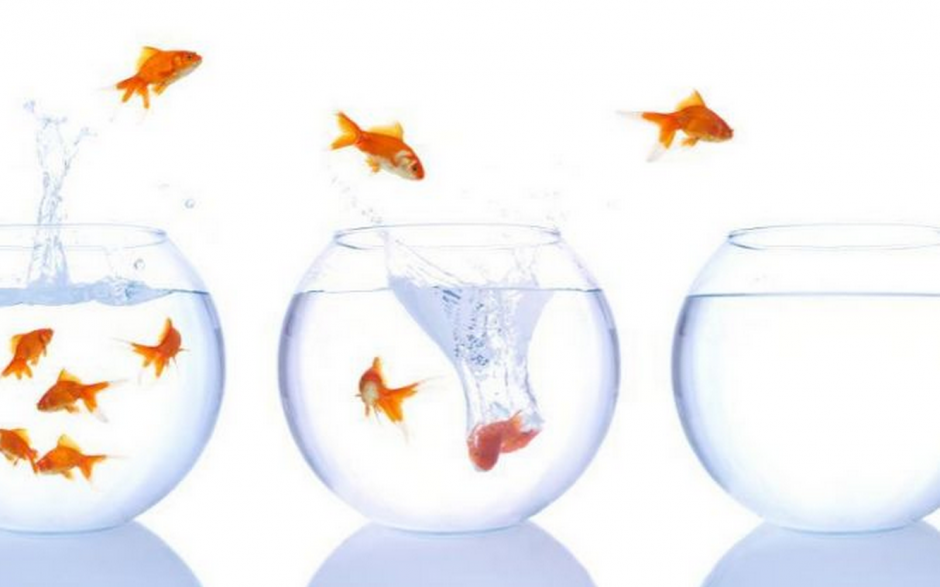 Es importante entender la psicología del dinero. (Foto: Servicios)