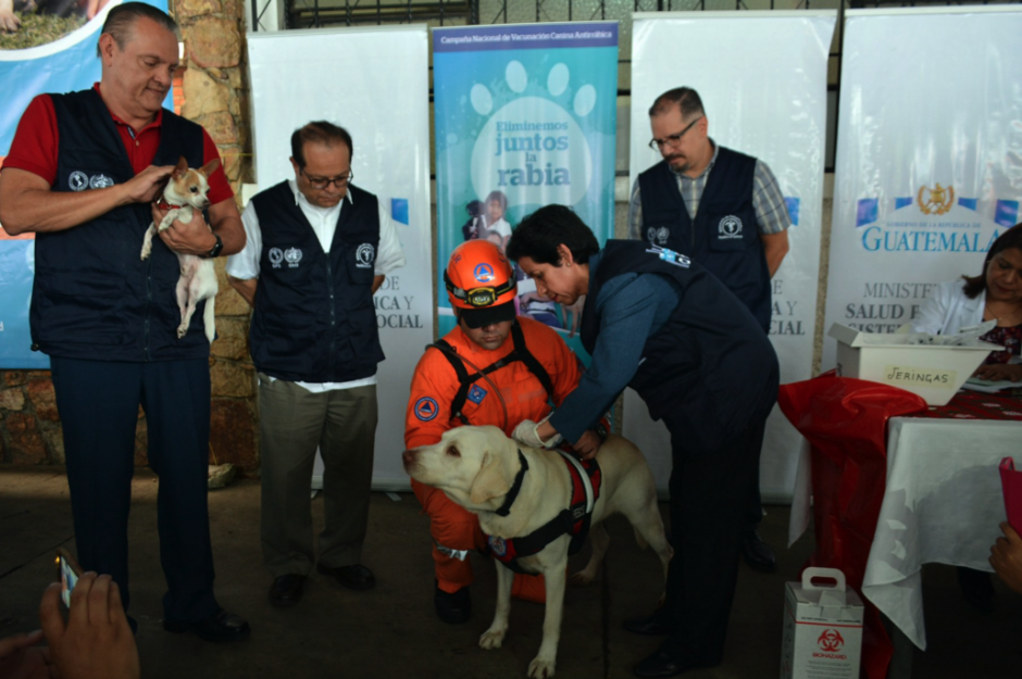 El h&eacute;roe de la Conred fue vacunado contra la rabia. (Foto: Ministerio de Salud)&nbsp;