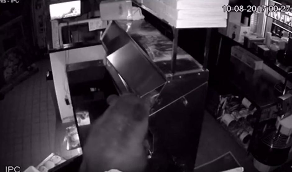 Una familia de osos ingres&oacute; a una pizzer&iacute;a en Estados Unidos y caus&oacute; destrozos. (Foto: Captura de YouTube)