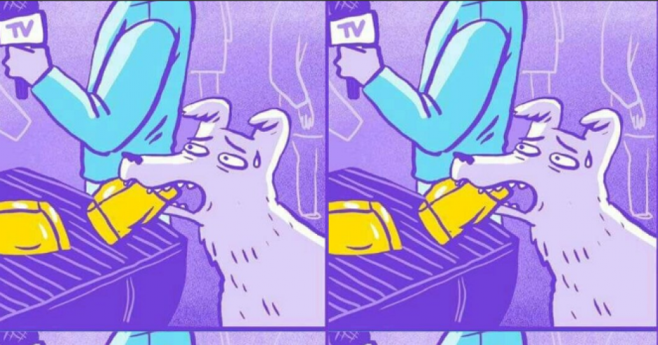 El perro que se rob&oacute; la empanada le dio la vuelta al mundo. (Foto: Twitter/@SebastianTgz)