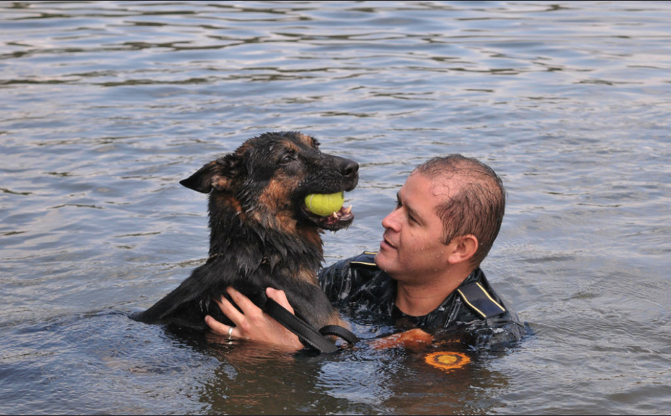 Los agentes caninos tomaron un tiempo para relajarse. (Foto: Ministerio de Gobernaci&oacute;n) 