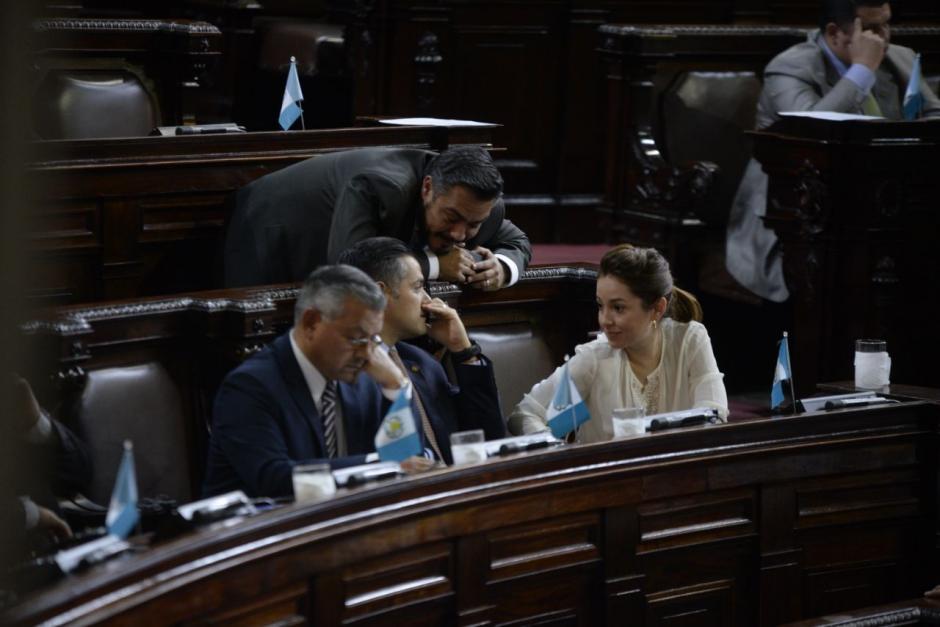 La propuesta de beneficios tributarios para los ganaderos no fue agendada esta semana. (Foto: Archivo/Soy502)